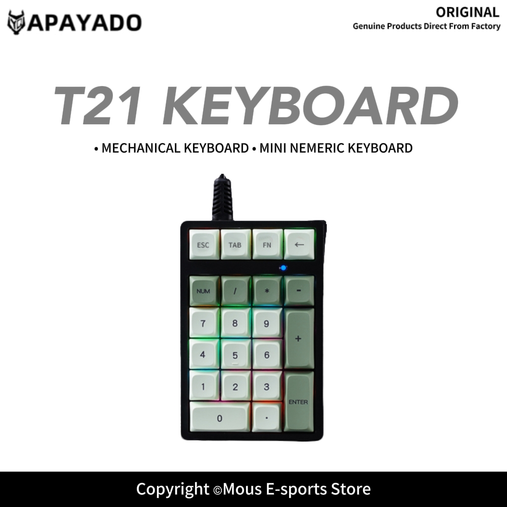 Keyboard Numpad Separate - Teclado Numérico Alámbrico T21 APAYADO con
